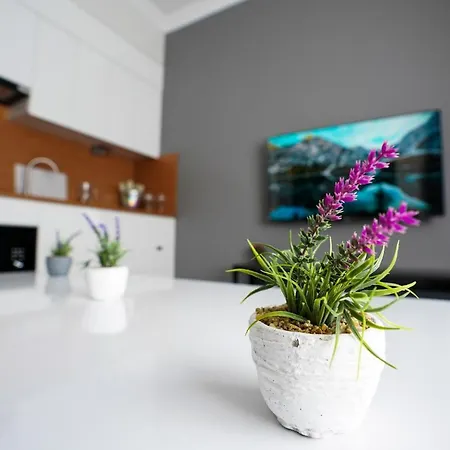 Merkuri 201 Apartman Isztambul